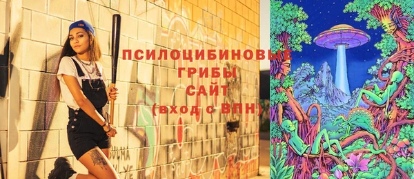 спиды Абаза