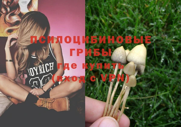 спиды Абаза