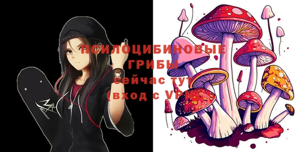 спиды Абинск