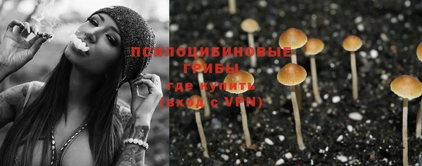 спиды Абаза